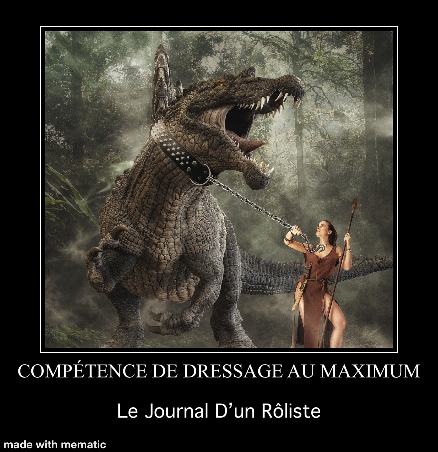 Ma galerie de mèmes de Jeu de rôle